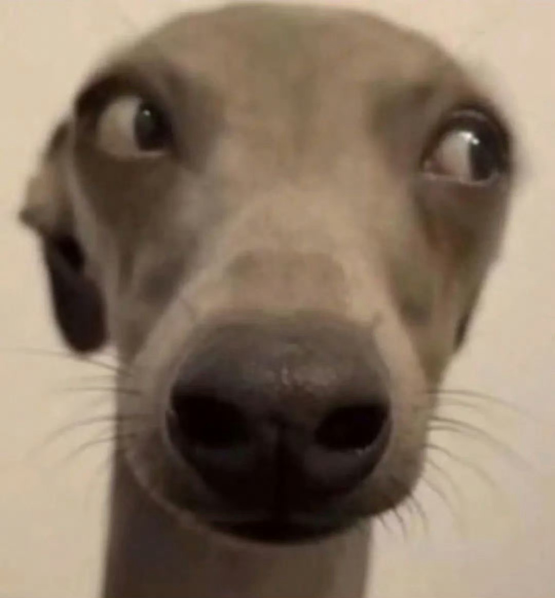 我要黑长直 