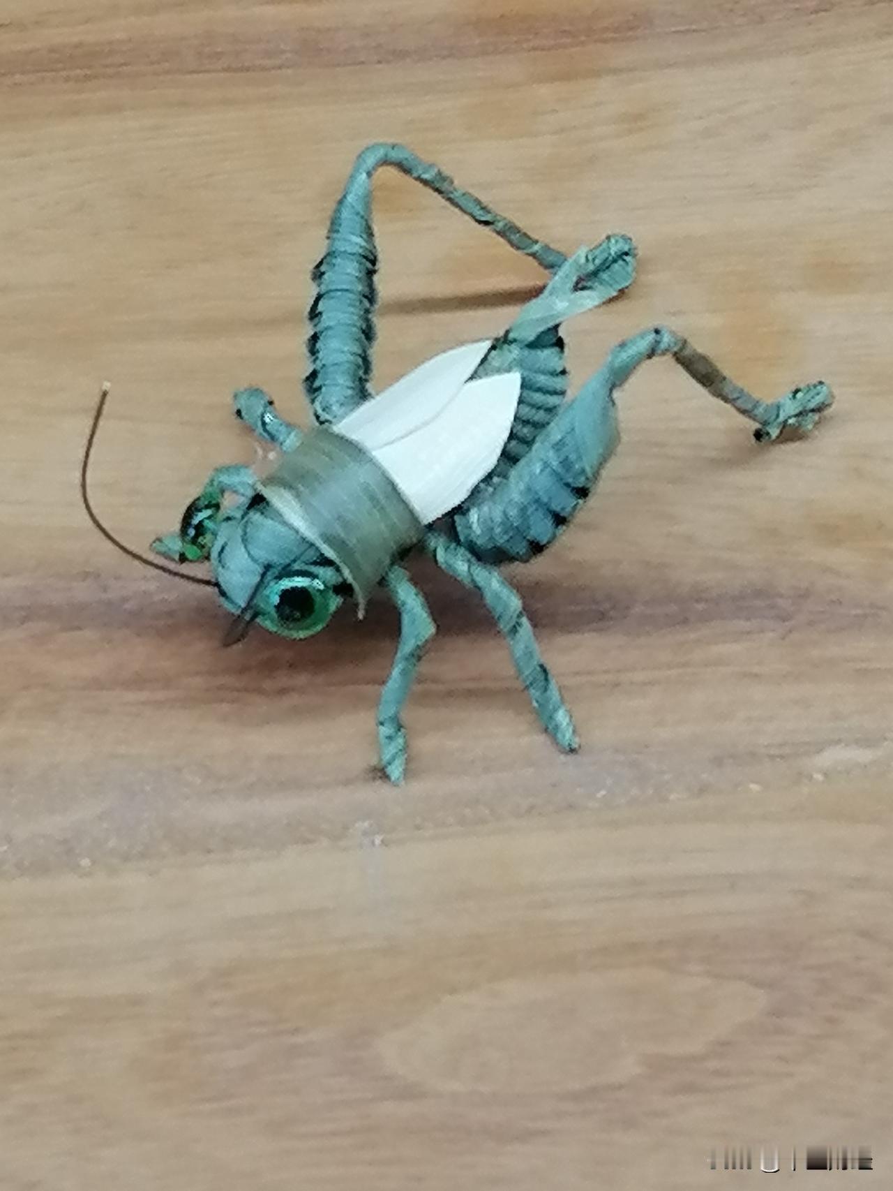 记录我的2026栩栩如生！手艺人编织的蟋蟀昂首挺胸，两根触须如钢鞭般竖起。薄竹片