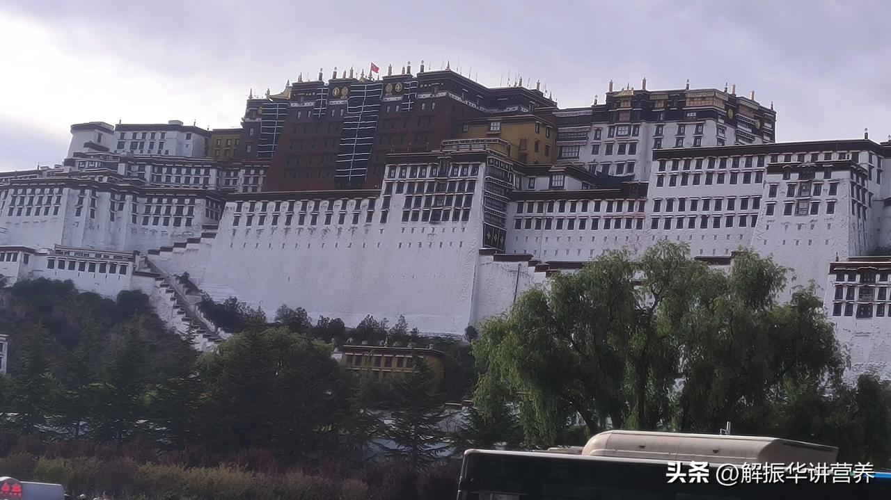 来拉萨，如何预防高反

如果可以，尽量不要来拉萨，太受罪，高反是最大的问题。想预