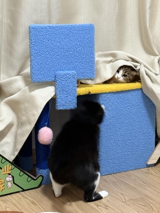 不让哥上桌哥就把桌子掀飞咯
