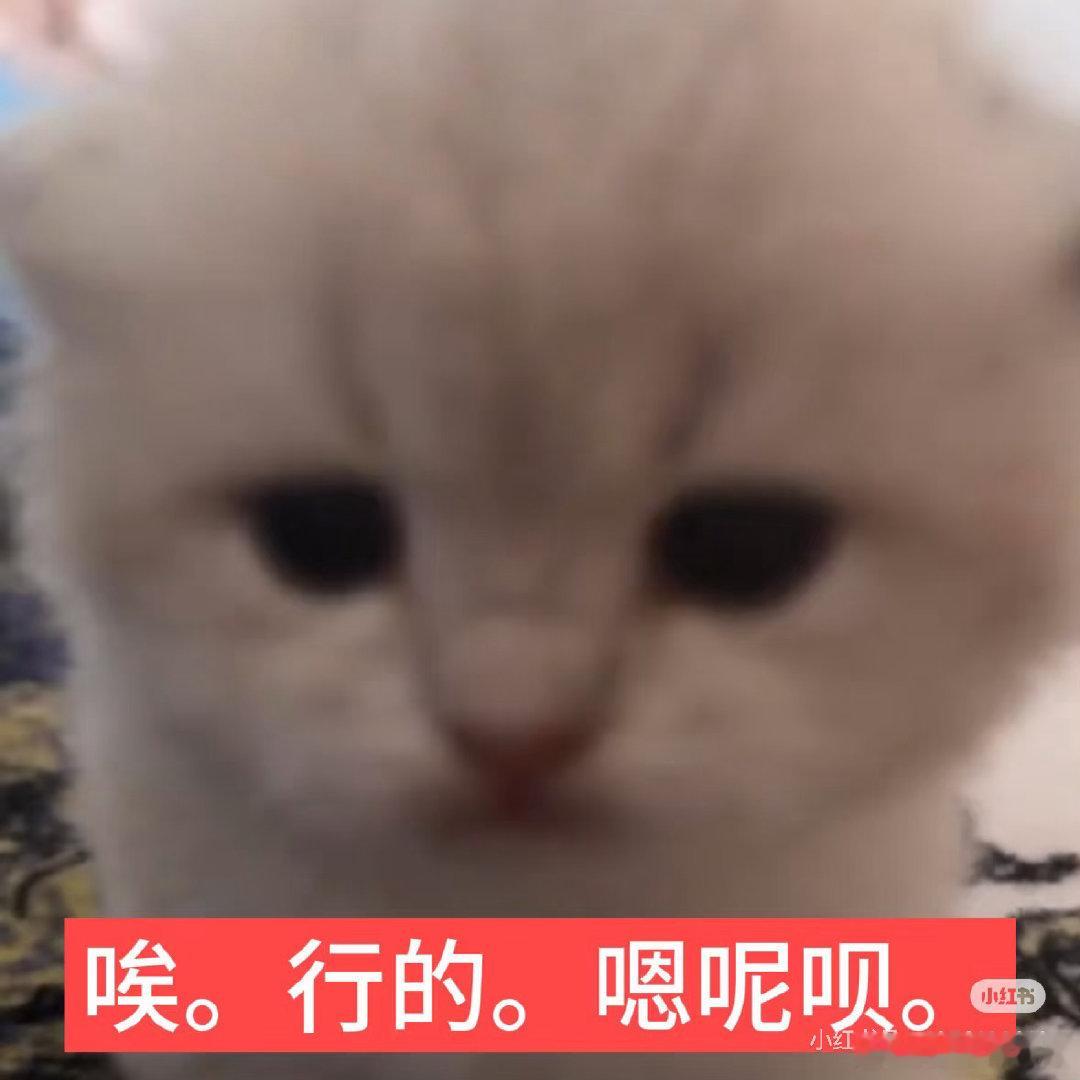完蛋 czg 要掉了 