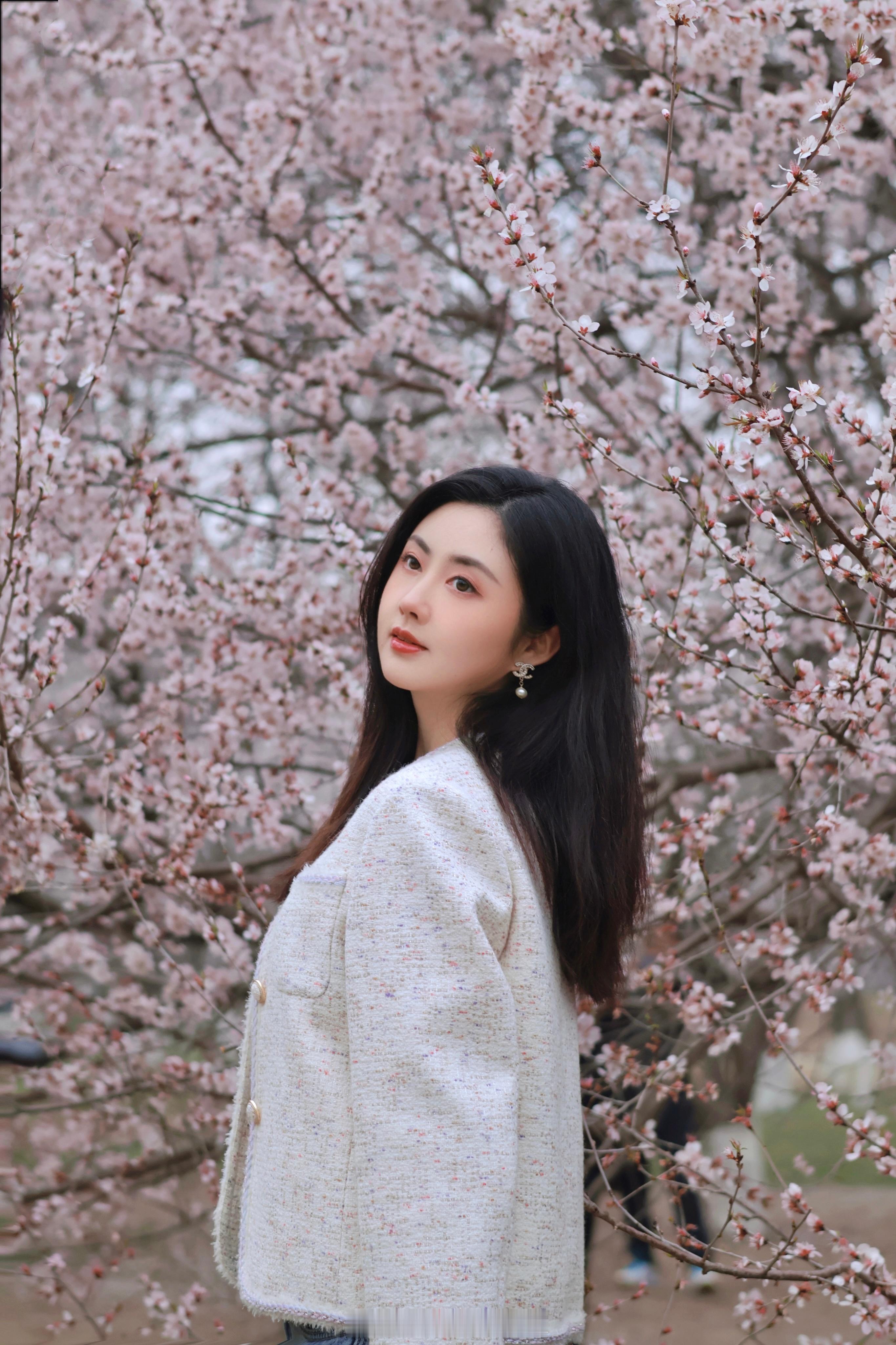 又是一年春和景明🌸 ​​​