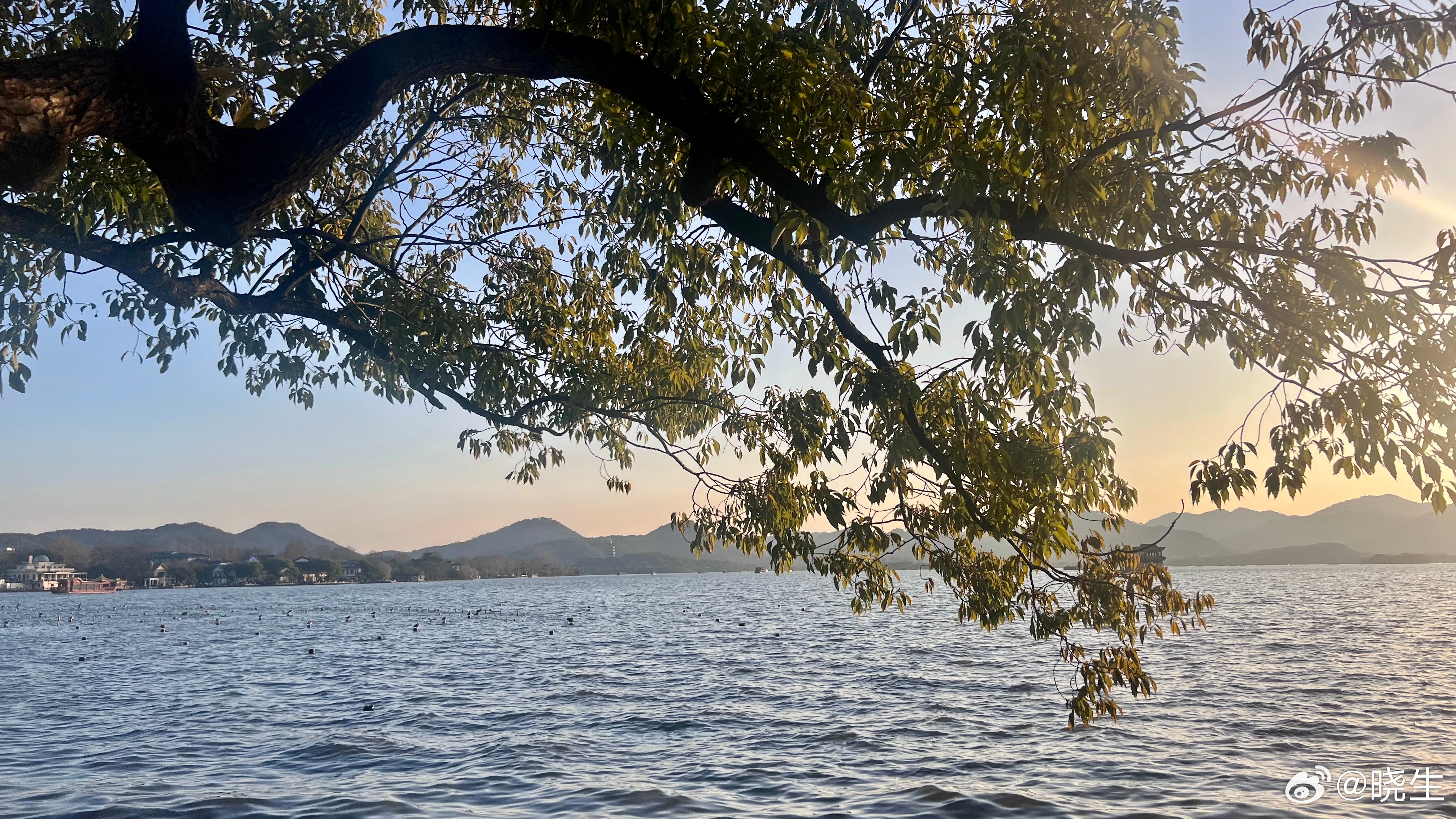 其实生活中很多容易“受欺负”的人普遍一个通性问题——怕失去导致的边界弱而且你会发