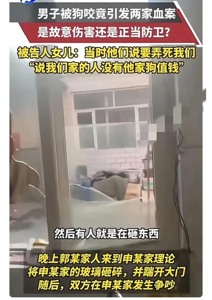 一条狗两条命！这起惨案哪是“意外”，分明是层层失守酿的祸！
 
别光骂狗凶，狗不