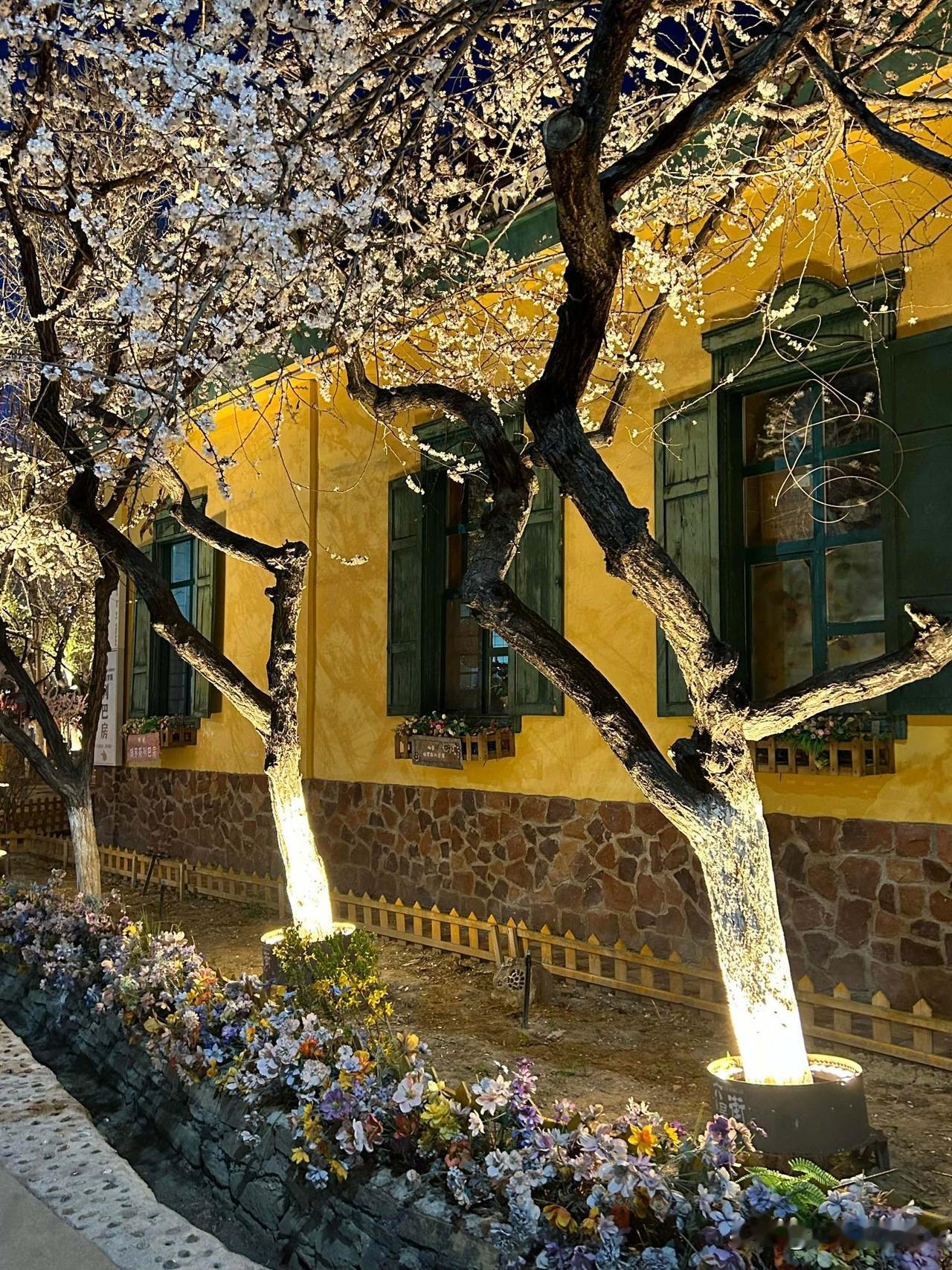 春遇六星街✨赴一场边城花事
 
踏入伊宁市六星街，才算真正拥抱了伊犁的春天。
这