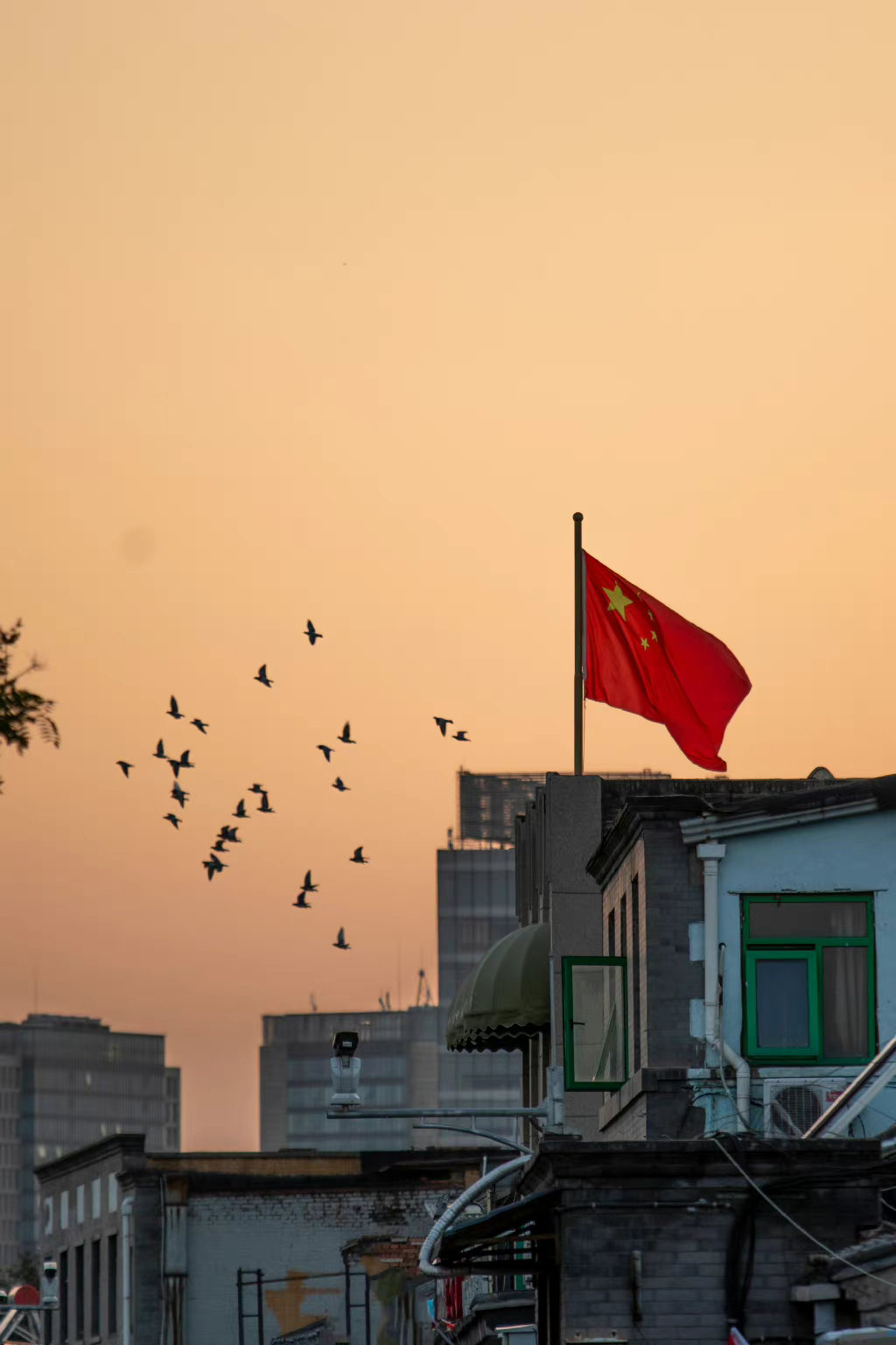 很喜欢北大毕业典礼上的一段话：我唯一的害怕，是你们已经不相信了：不相信规则能战胜