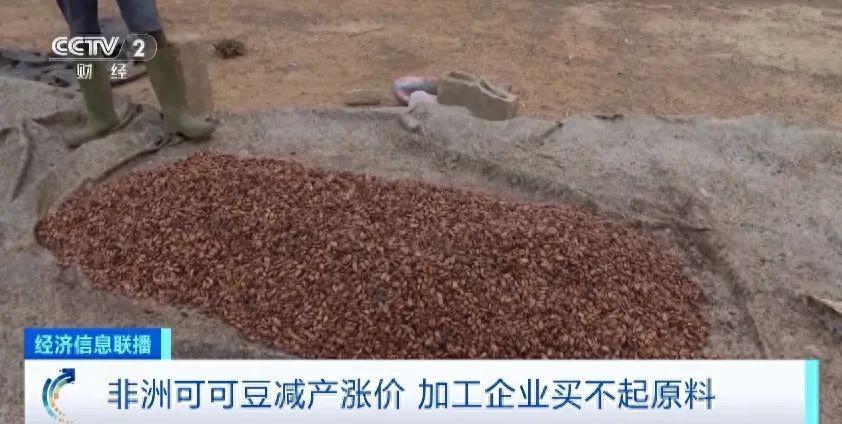 原材料价格疯狂暴涨！连加工厂都要买不起了？到底谁在消费?

就在近日，主要的可可