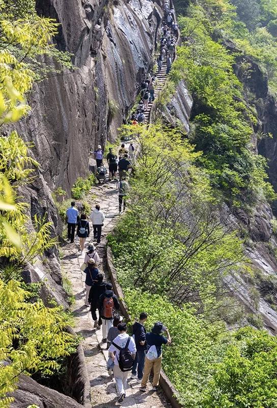【在自己的节奏里过好每一天，若无人问津就独善其身，若有人同行便共赏一路风景】
 