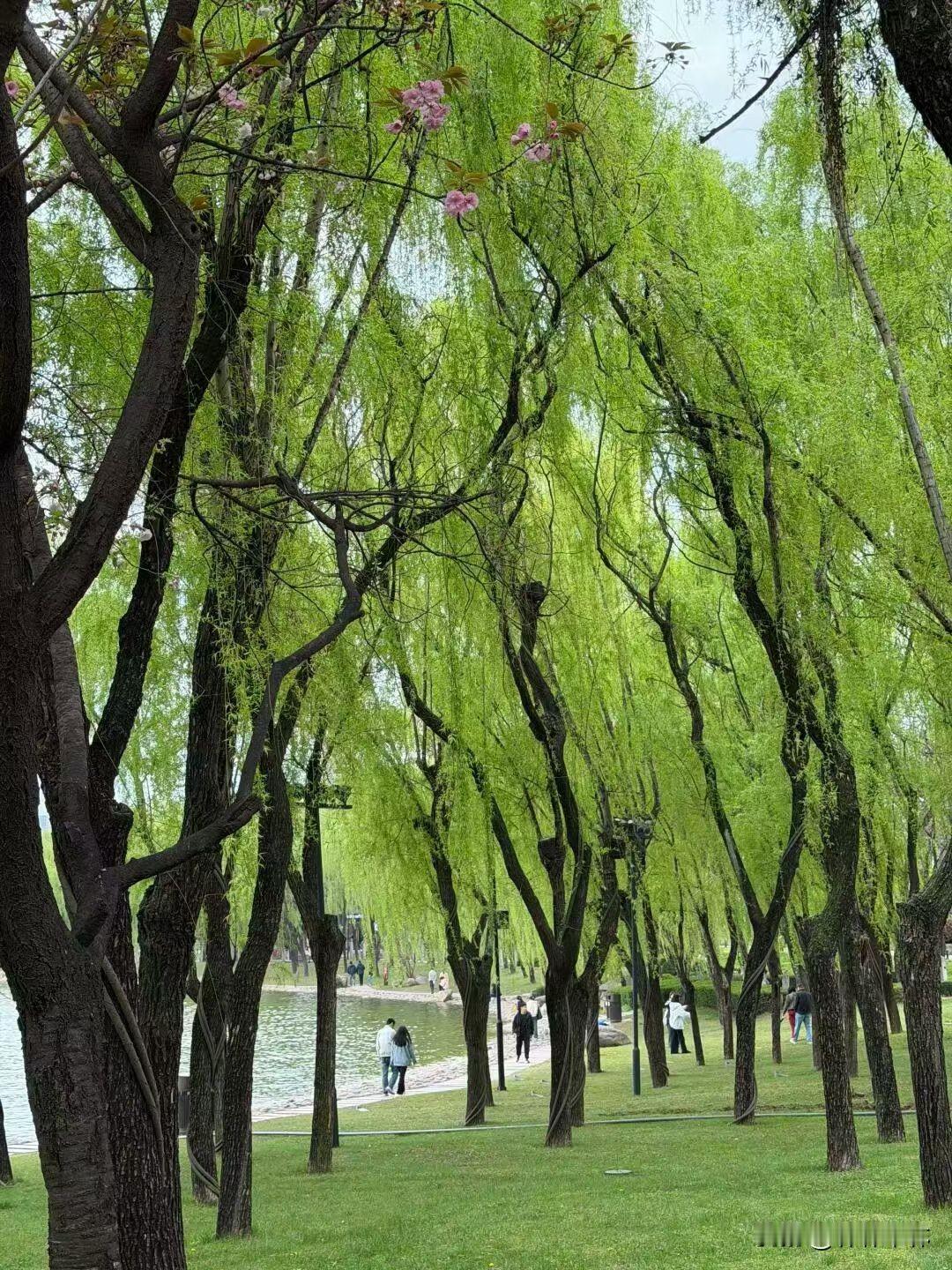 托梦这个事你们认为是真的还是玄学？

就这个清明节的前些日子，我老家以前的邻居我