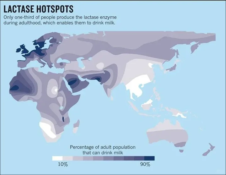 乳糖不耐受地图
