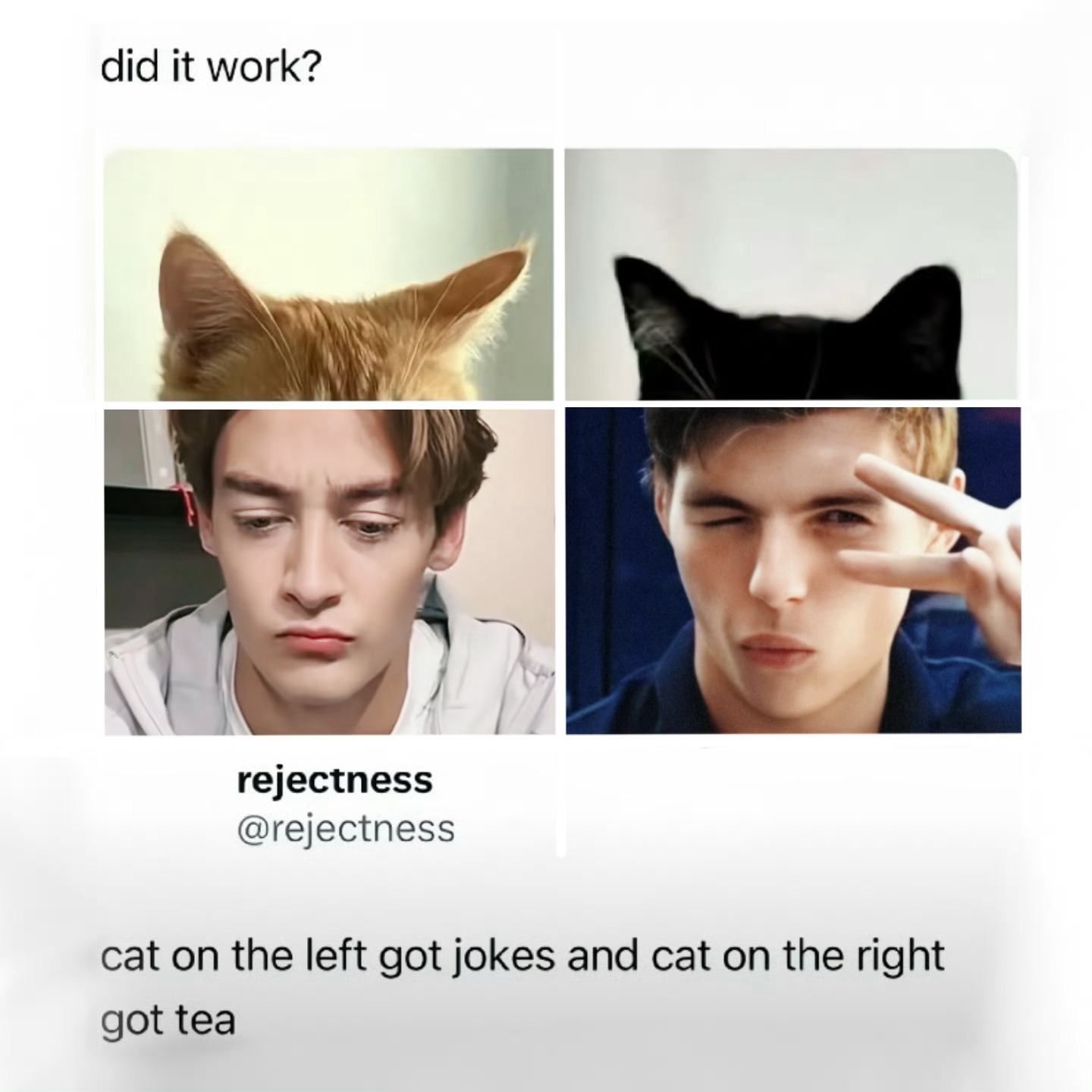 唉……完全是萌力量 