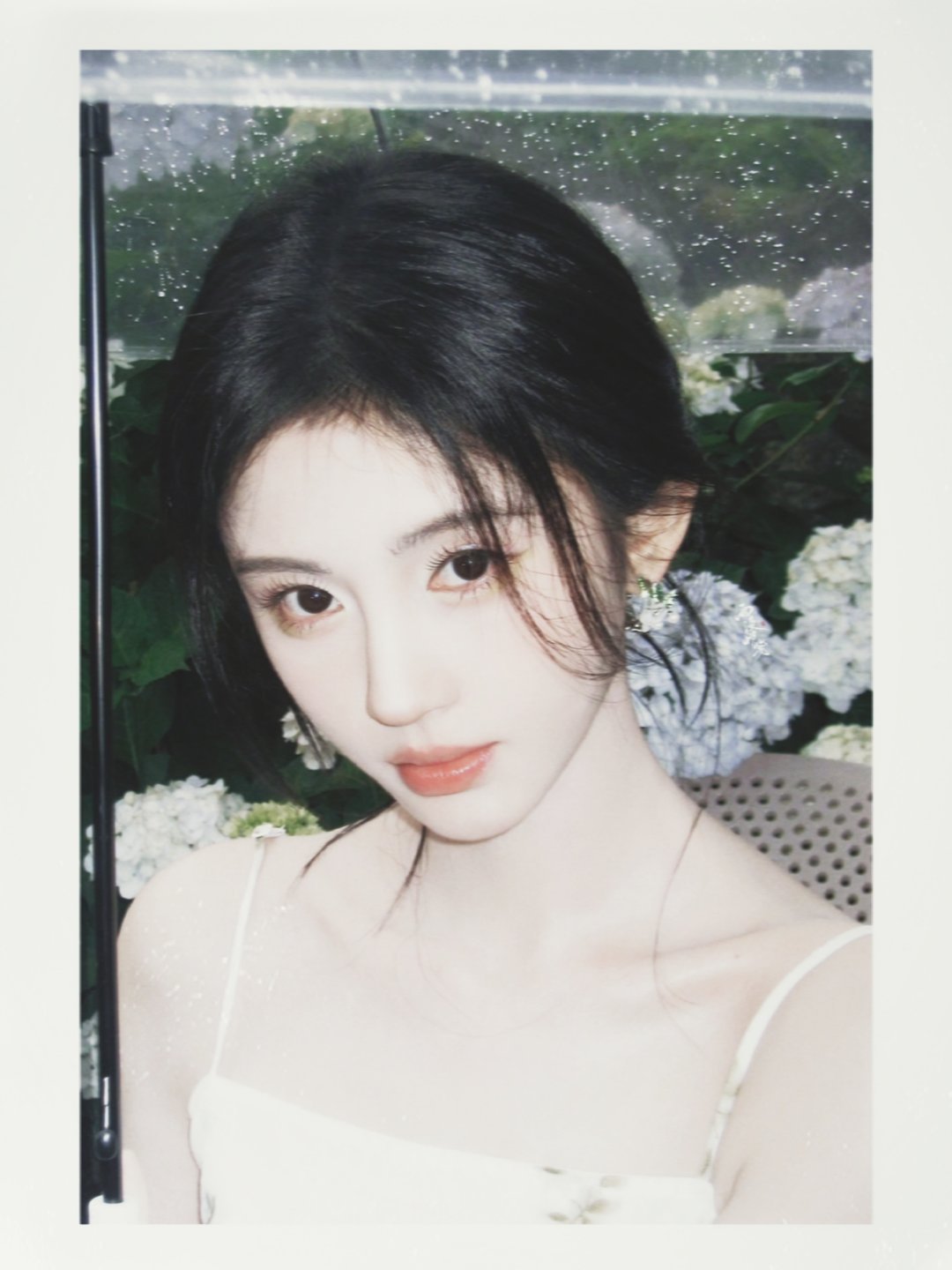 好好看的ccd ​​​
