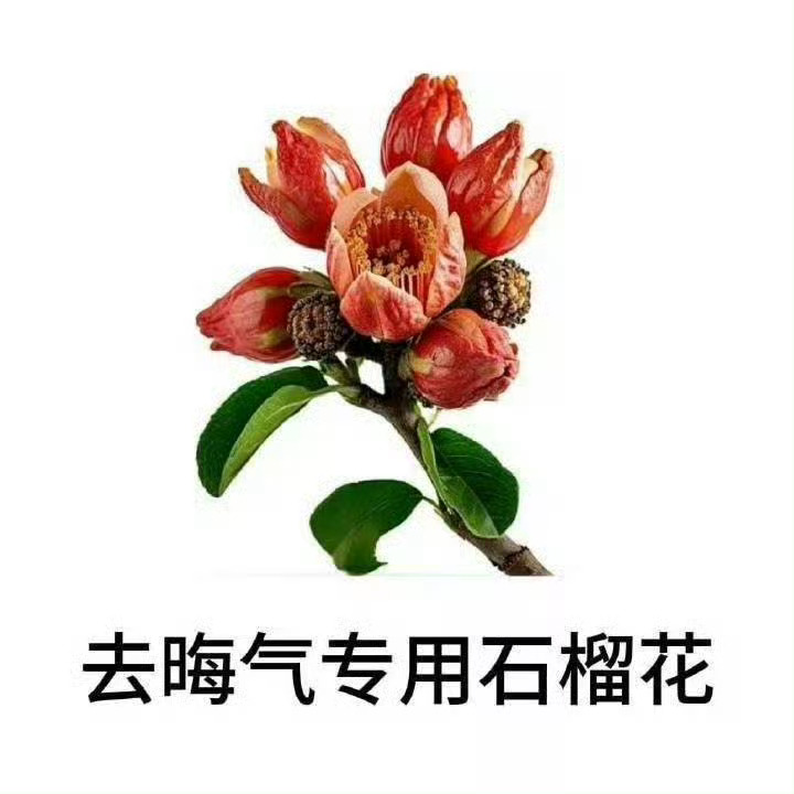 我们摊上她才是真的晦气~ ​​​