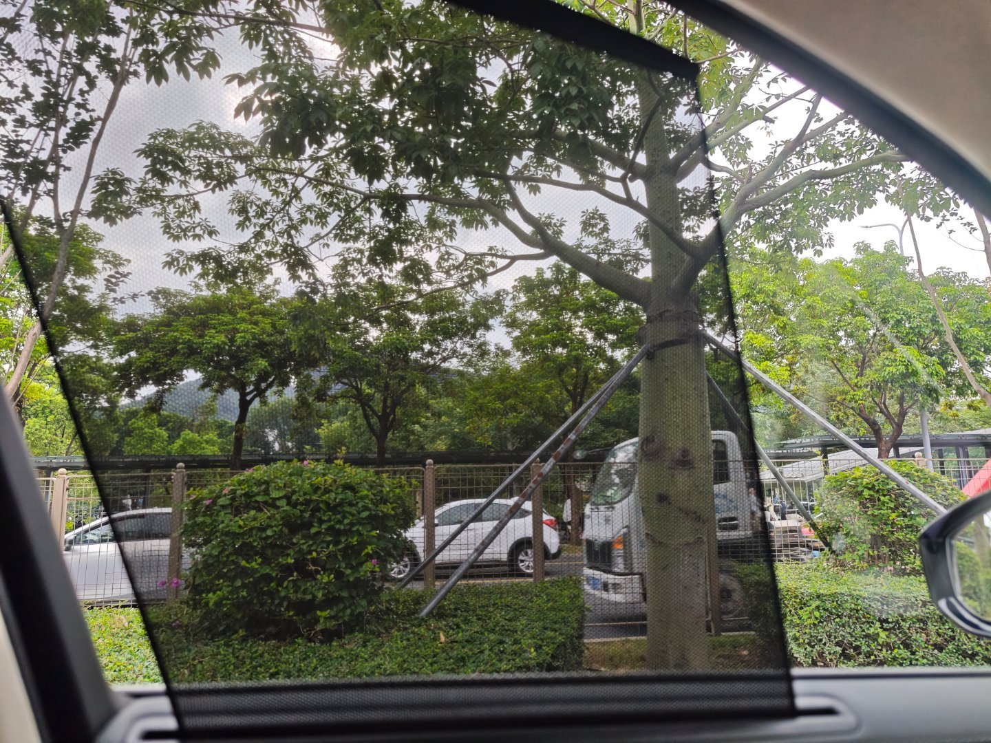 早，猜猜车？新能源汽车