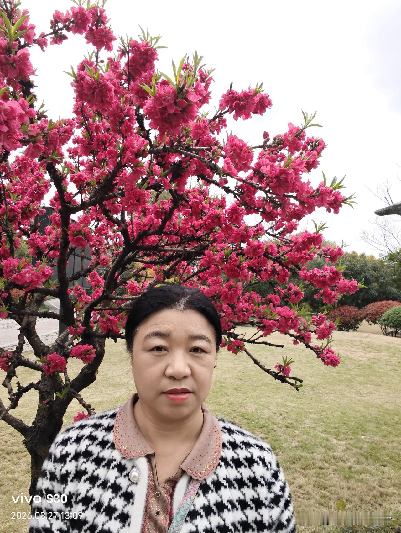 随手拍张照