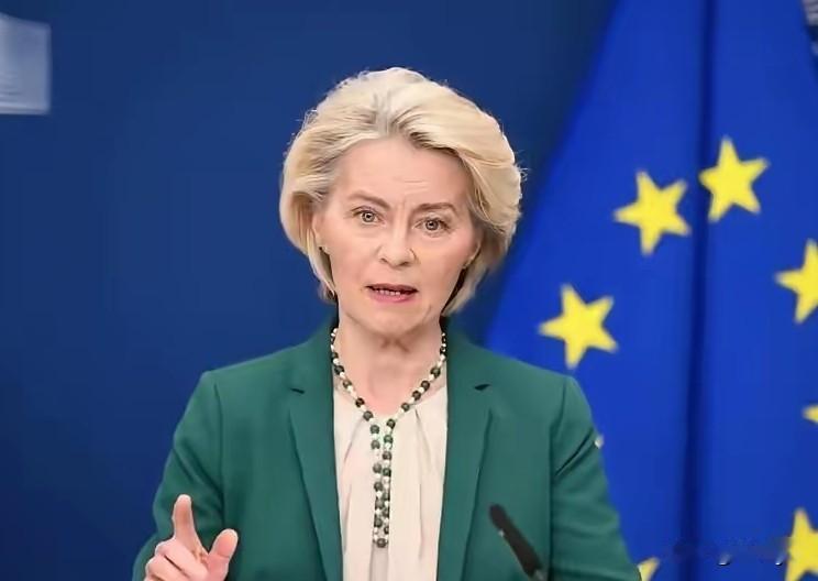 欧盟真冤！人家打仗它买单。29日，欧盟主席冯德莱恩称，自美以伊冲突、霍尔木兹海峡