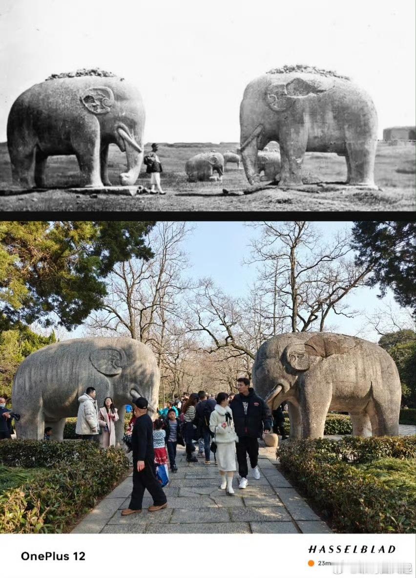 明孝陵突然又火起来了，是时候把我两年前用一加12拍的明孝陵古今对比图拿出来了