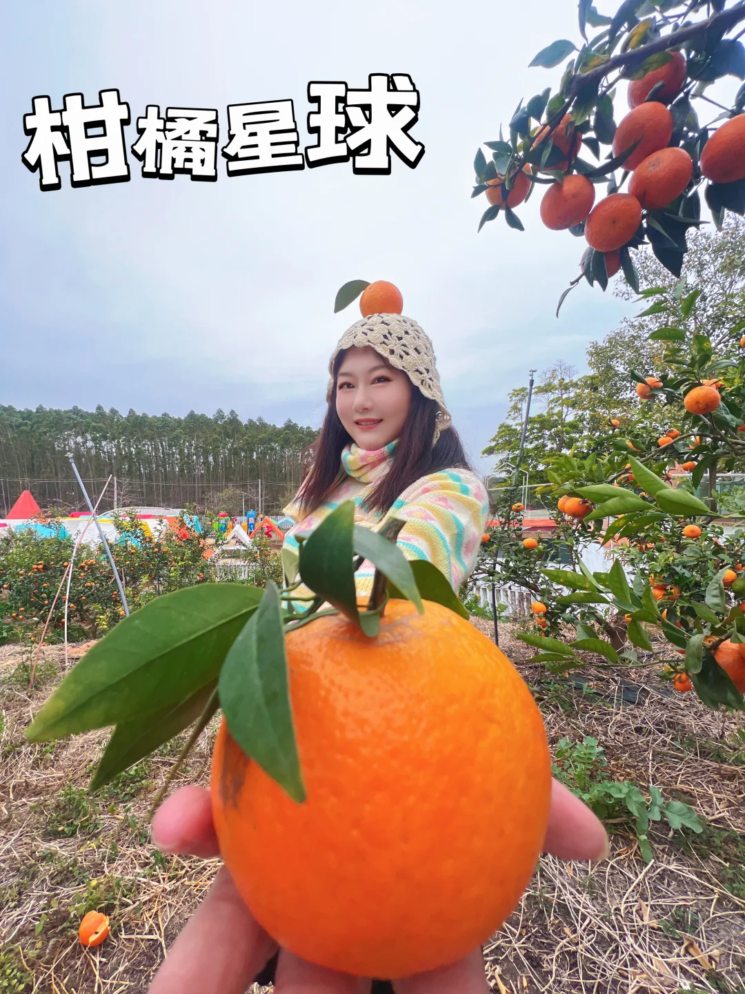 春节➕寒假自驾亲子游～直奔从化柑橘星球！