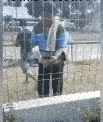 栏杆挡不住爱动脑筋的人，只要肯琢磨，办法总比困难多。