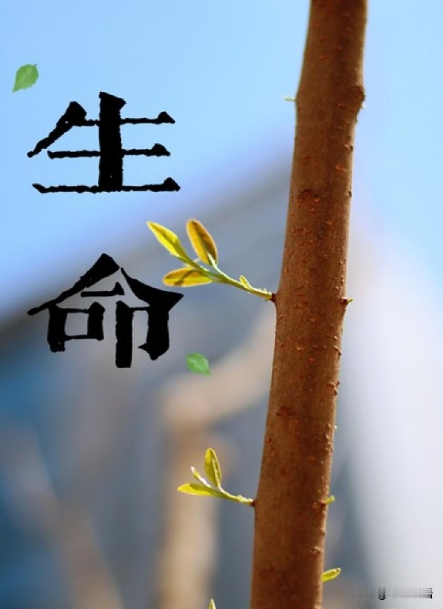 生命终将逝去，生命的意义是什么？

俗话说:人生百年，百年人生。

可是，真正能