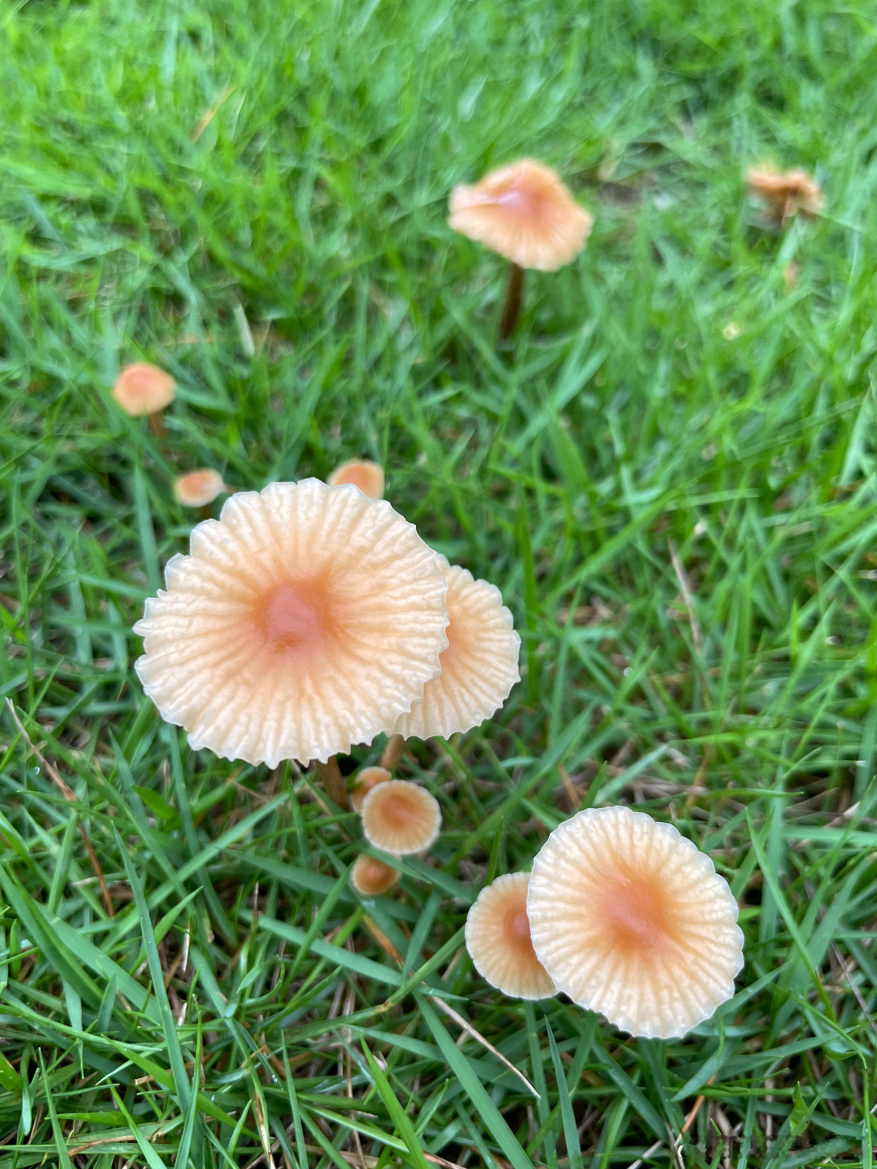 #星情物语# 允许自己慢慢来，追寻内心，走在路上，终会到达你要的远方#喝咖啡##