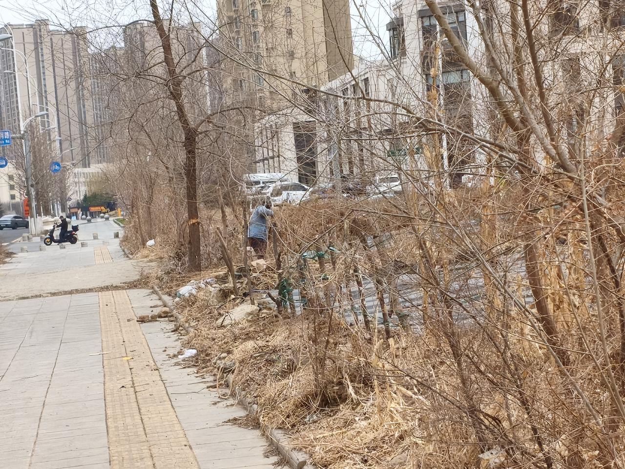 爱劳动爱种庄稼深深埋在了沈阳市民心里面！
今天我去沈阳南站，路过发现有人在沈阳南