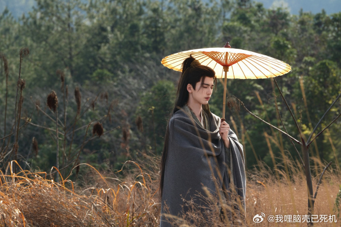 谢征执伞张凌赫谢征金戈破千钧 张凌赫谢征金戈破千钧，谢征执伞，期待住这个武安侯的