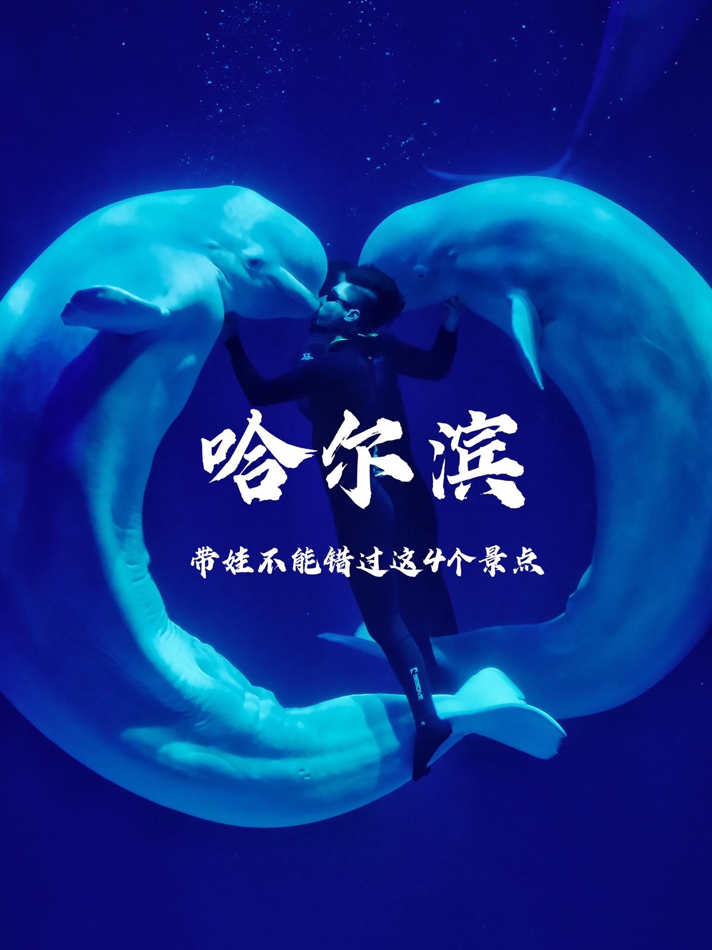 哈尔滨的后劲有点大！带娃去哈尔滨就去这4个景点   暑假带娃去哈尔滨的...