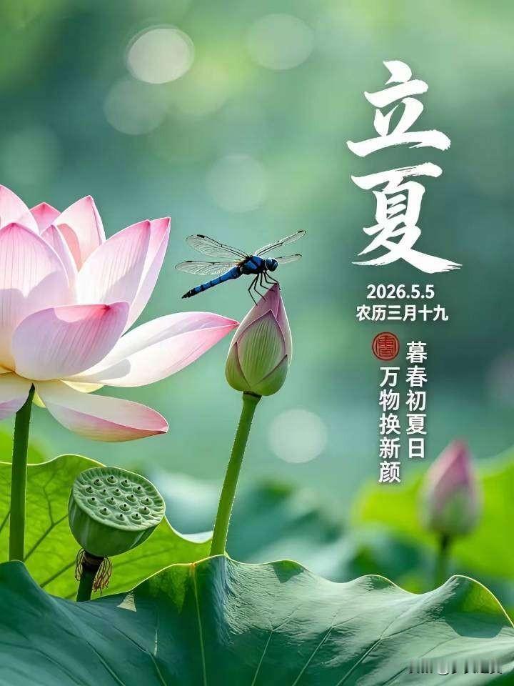 【小对联】
上：立夏；
下：……？