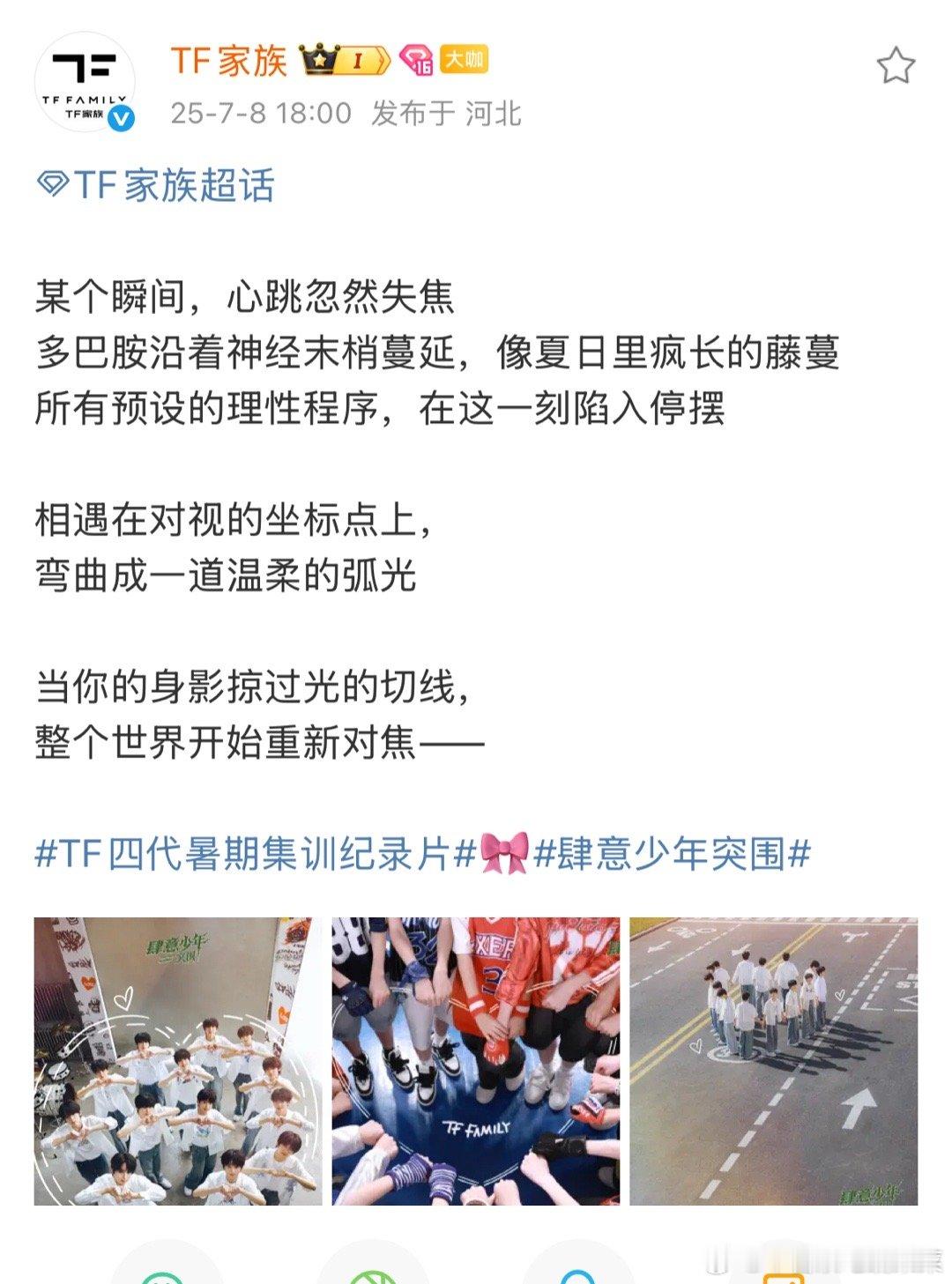 tf家族活了 ​​​