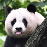 敏福爱读社会