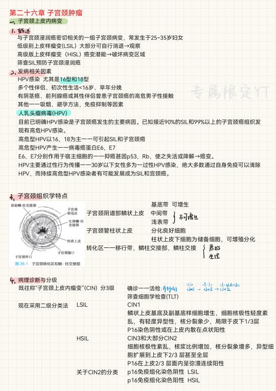 妇产科（19）-子宫颈肿瘤