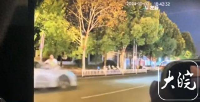 “必须严惩！”江西景德镇，一家三口在过马路时，被一辆时速高达128.9km/h的