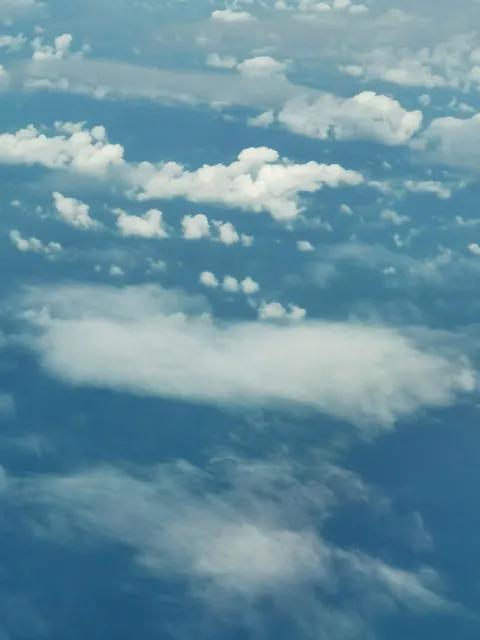 春日花海情妖娆，
风韵犹存云中飘。
端庄风姿温柔态，
白里透红似仙桃。