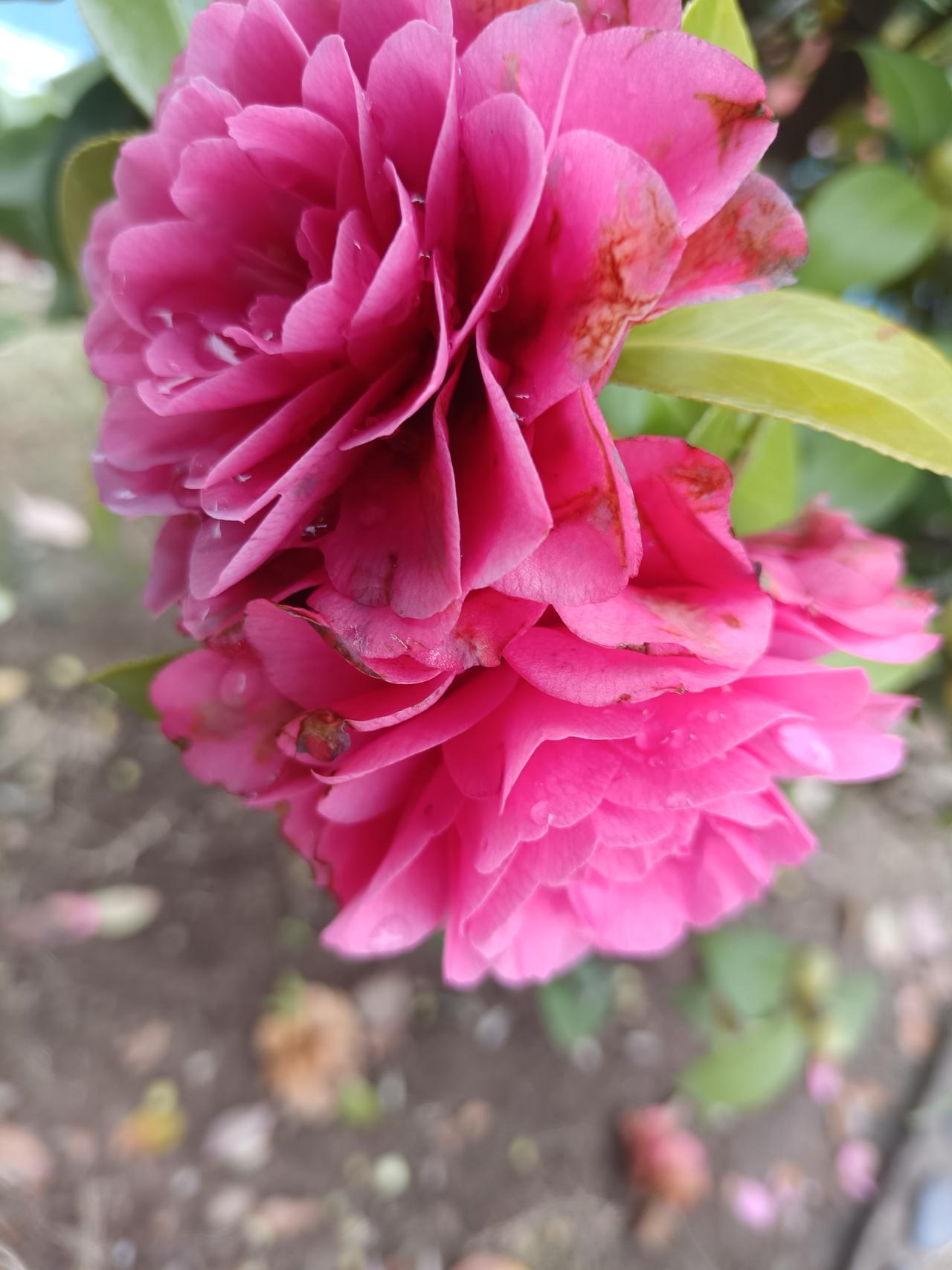 一生爱学习，爱思考，爱写作，把创作的成果衡量自已的智慧的检验。