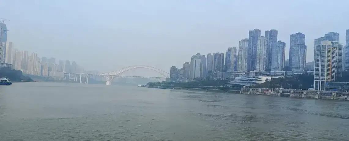 网传红嘴鸥组团来重庆，26号晚上照片刷屏，27号一早朝天门挤满举手机的人。
我九