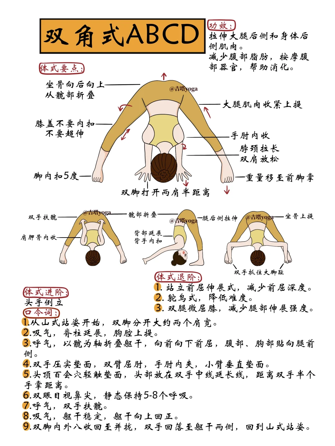 【新】每天讲解一个瑜伽体式【第二十五天】