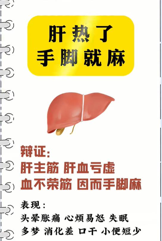 经常手脚发麻？可能是肝血亏虚了