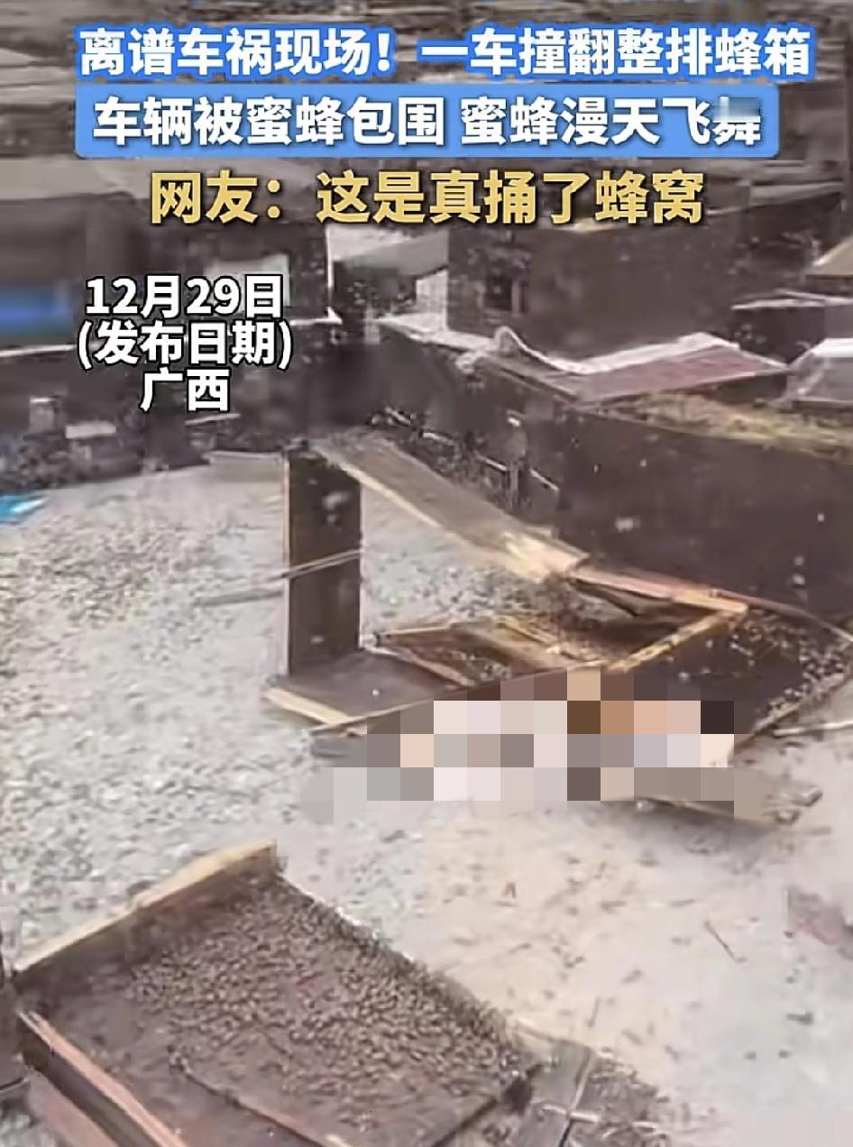 广西网友发布了一则车祸现场的视频，一辆货车撞倒了整排蜂箱，蜜蜂漫天飞舞，司机在车