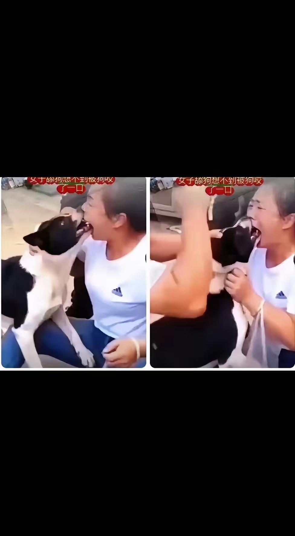 她大概是太孤独了，才会把脸凑到一只狗的嘴边。
亲一下，多亲密。可狗不懂亲密。在狗
