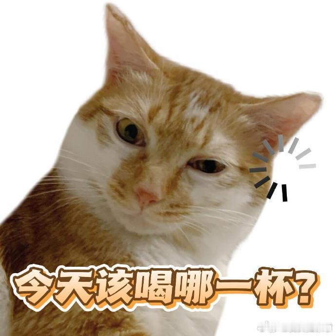 日韩游客打卡中国鲜果茶当老外第一次喝中国鲜果茶 外国友人喝完中国鲜果茶直接疯狂安