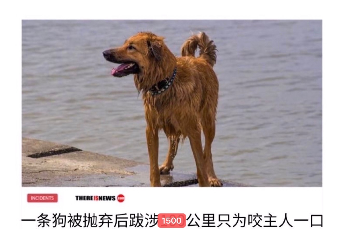 呼今晚仇人相见 