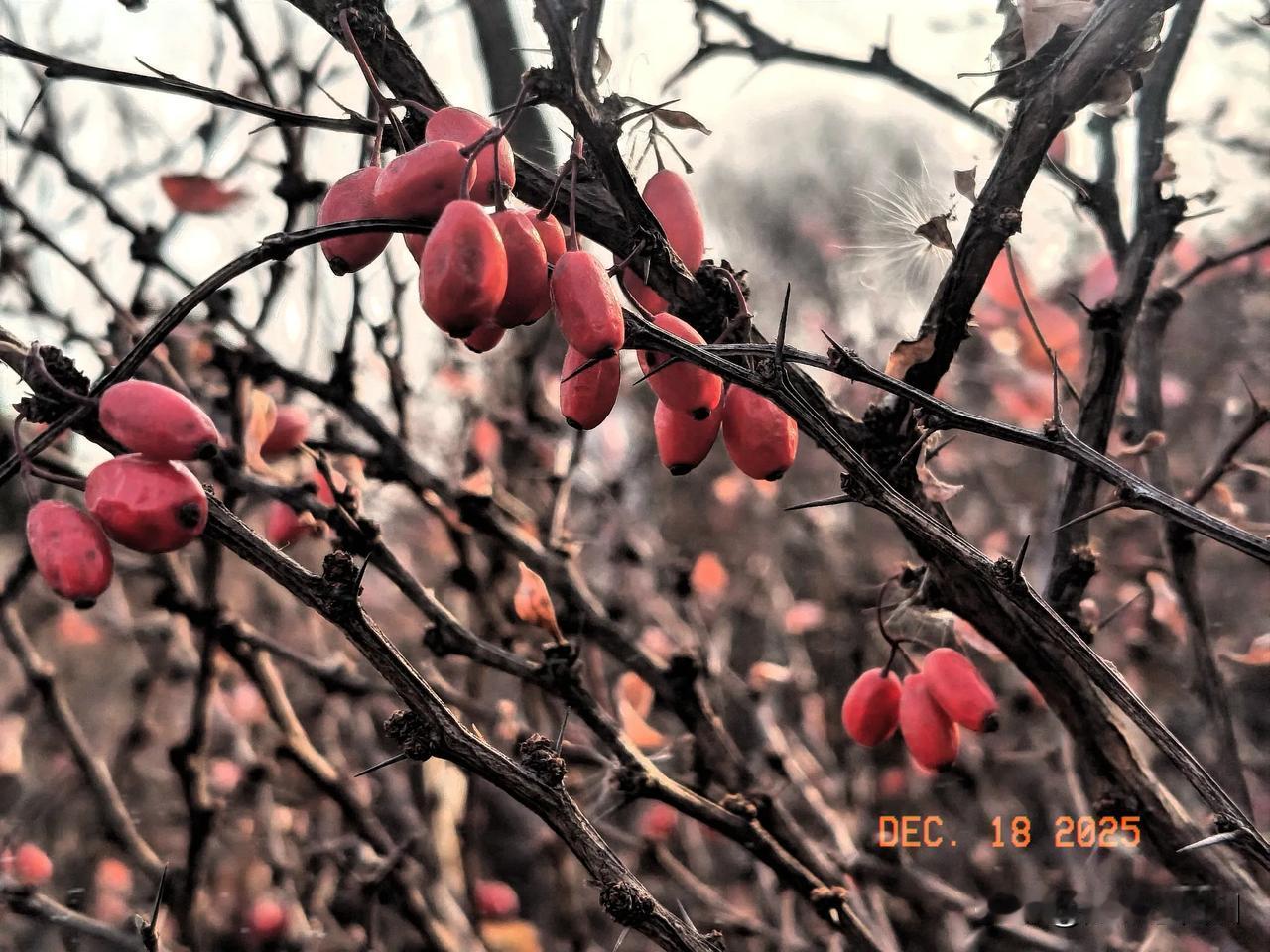 老人常说“人无远虑，必有近忧”，这话出自《论语》。它告诉我们，若没有长远规划，近