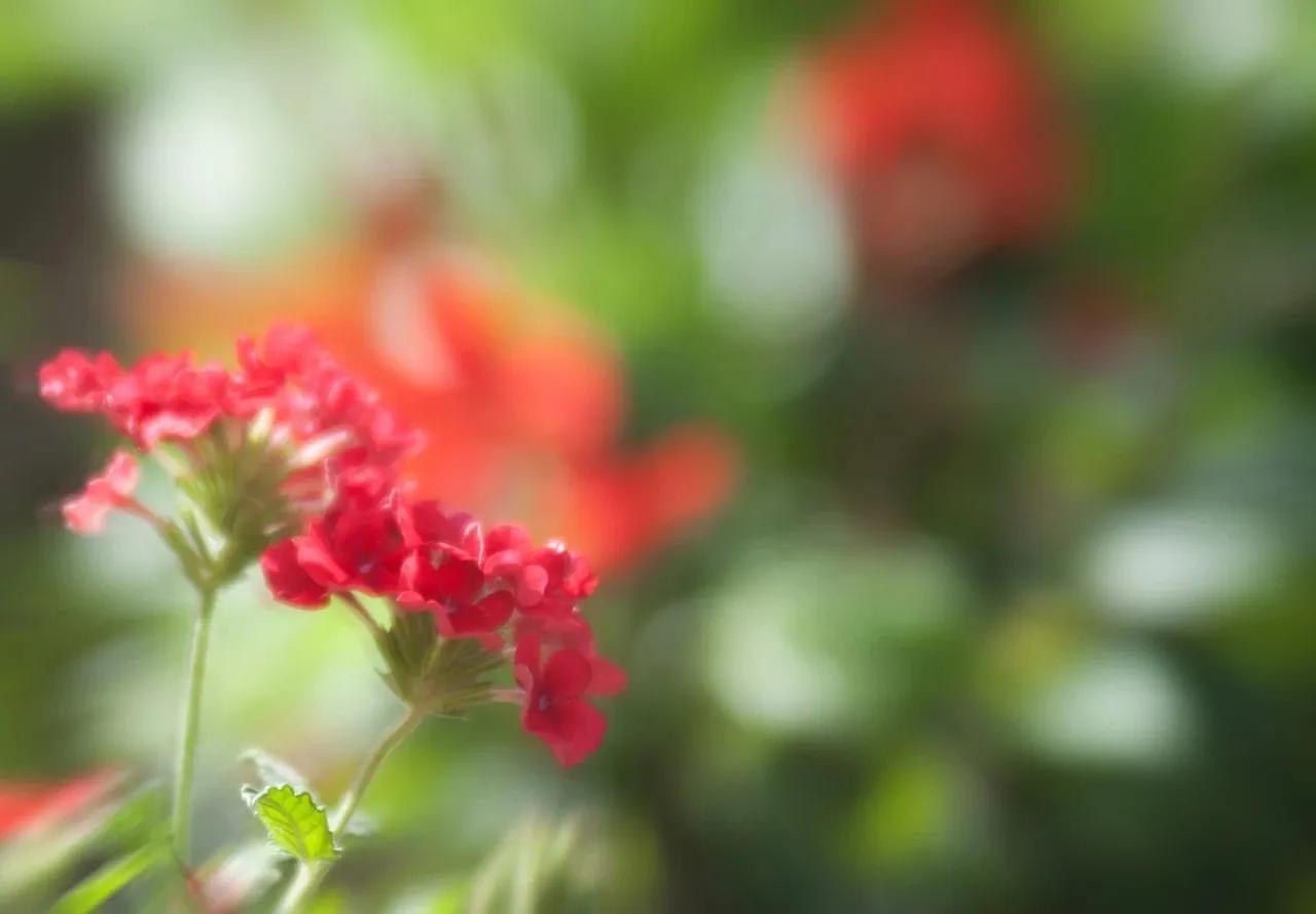 春分！春来福至，祝你喜乐安康。
春分时节，春色正浓。
万物生机盎然，
生命蓬勃生