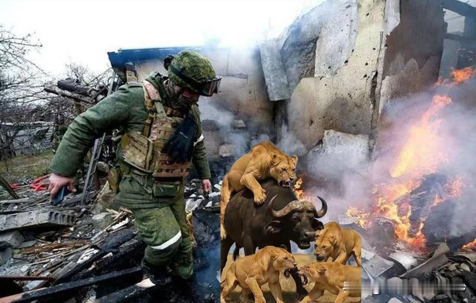 战火铸不成永恒繁荣
 
以色列以发达富足自居，其优越生活却长期建立在掠夺与霸凌之