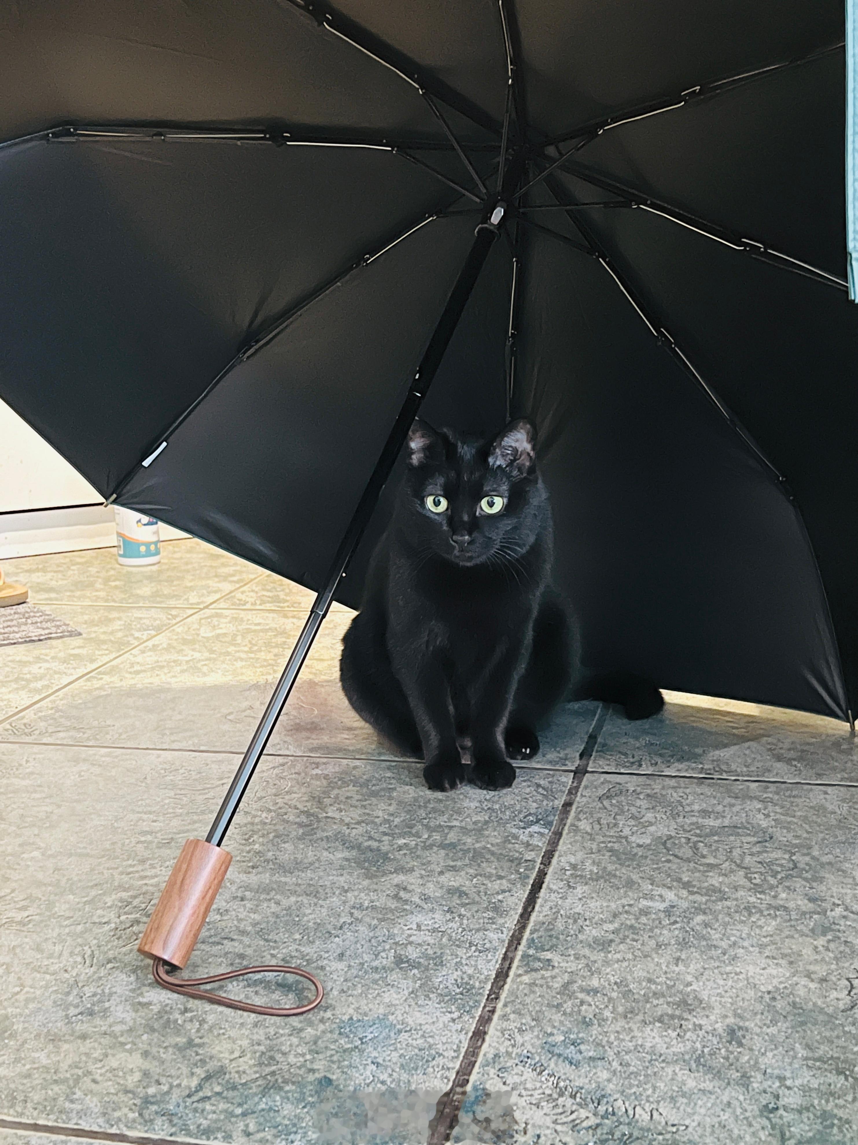 雨天娃娃。#蝦蝦不可以太可愛# ​​​