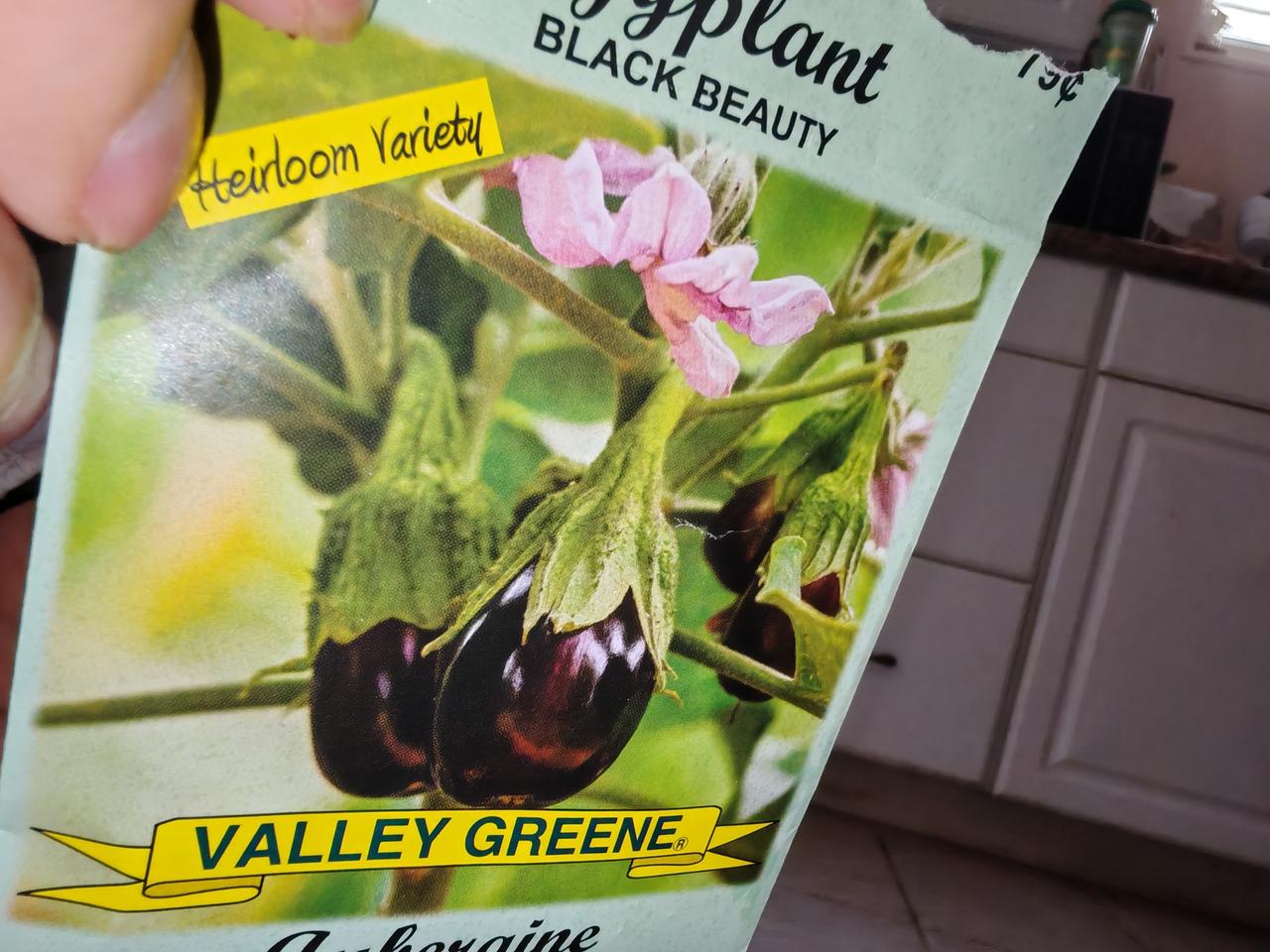 我和老伴儿正在挖空心思的想：这事怎么办呢？

听有经验的植物专家讲课说：种菜也要