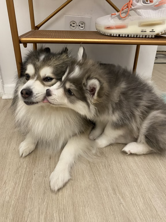 和我好！就现在！