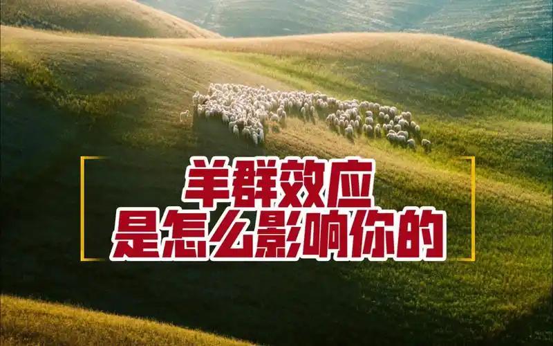 热点在快速切换，意味着流量热点在快速切换。对于做电商的人来说，追逐热点追逐流量变