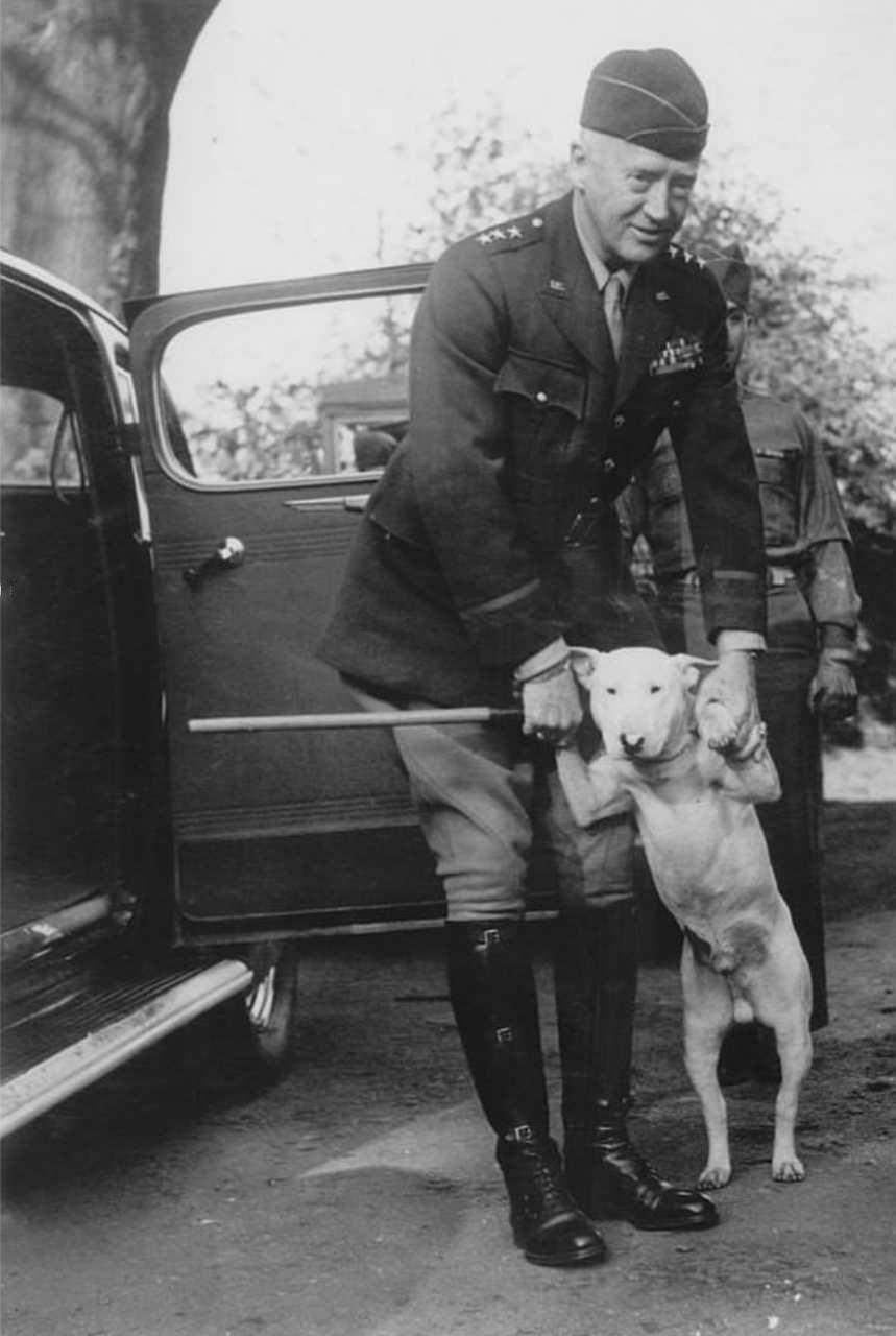 1944年，巴顿将军和他的宠物牛头犬威利 历史知识 ​​​